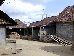 20071024-28bali (34).jpg
